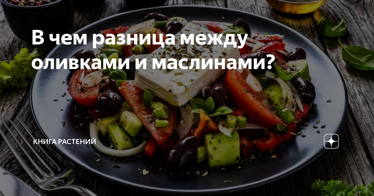 В чем разница между оливками и маслинами? | Книга растений | Дзен