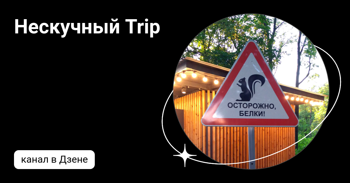 Рогозин трип дзен