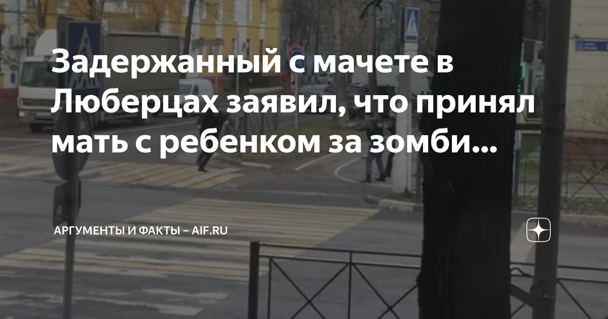 Задержанный с мачете в Люберцах заявил, что принял мать с ребенком за ...
