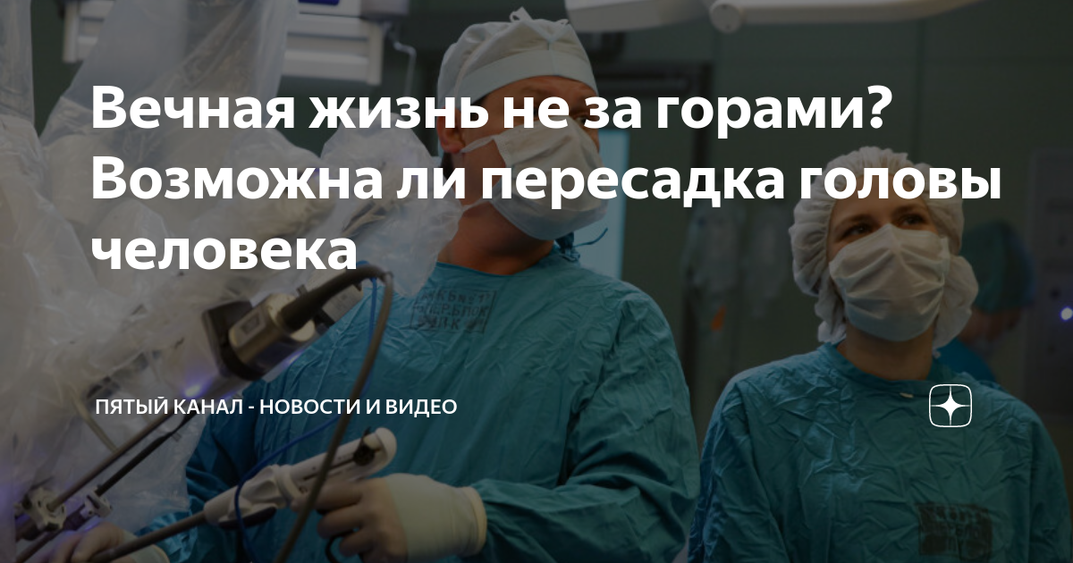 Вечная жизнь не за горами? Возможна ли пересадка головы человека ...