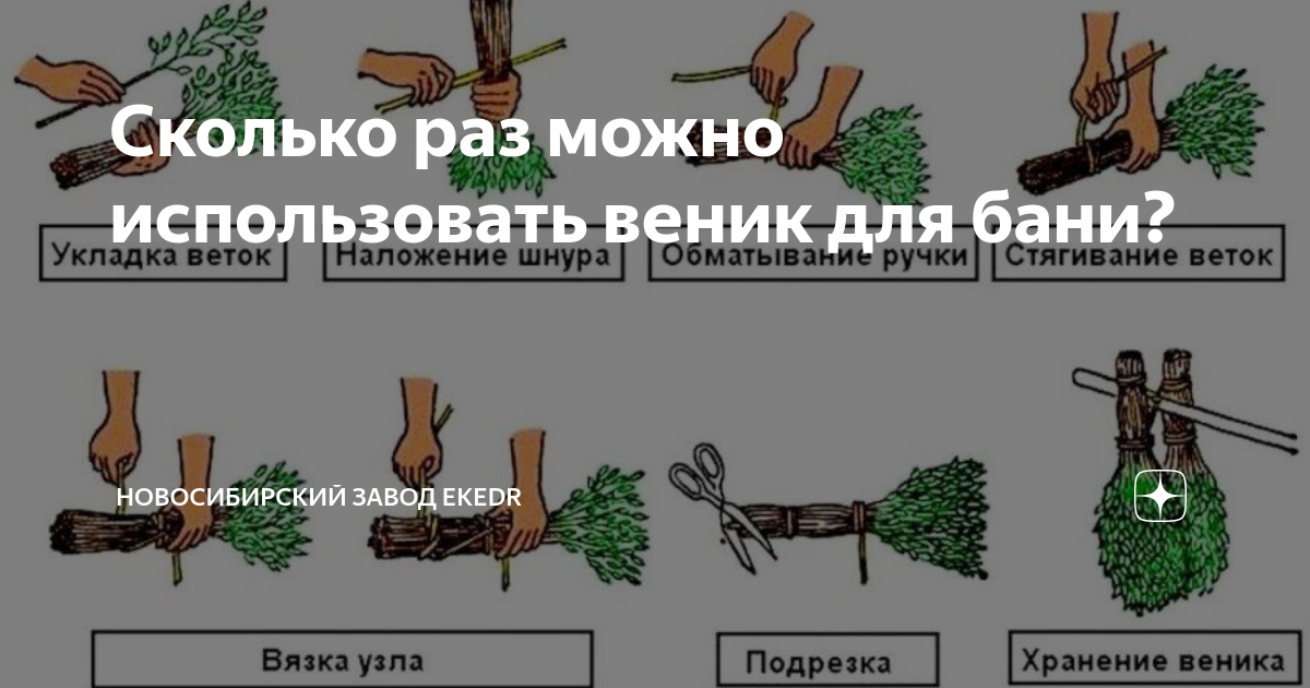 Сколько можно использовать веник в бане. Как пользоваться веником. Веник для бани контур. Как запаривать веник для бани.