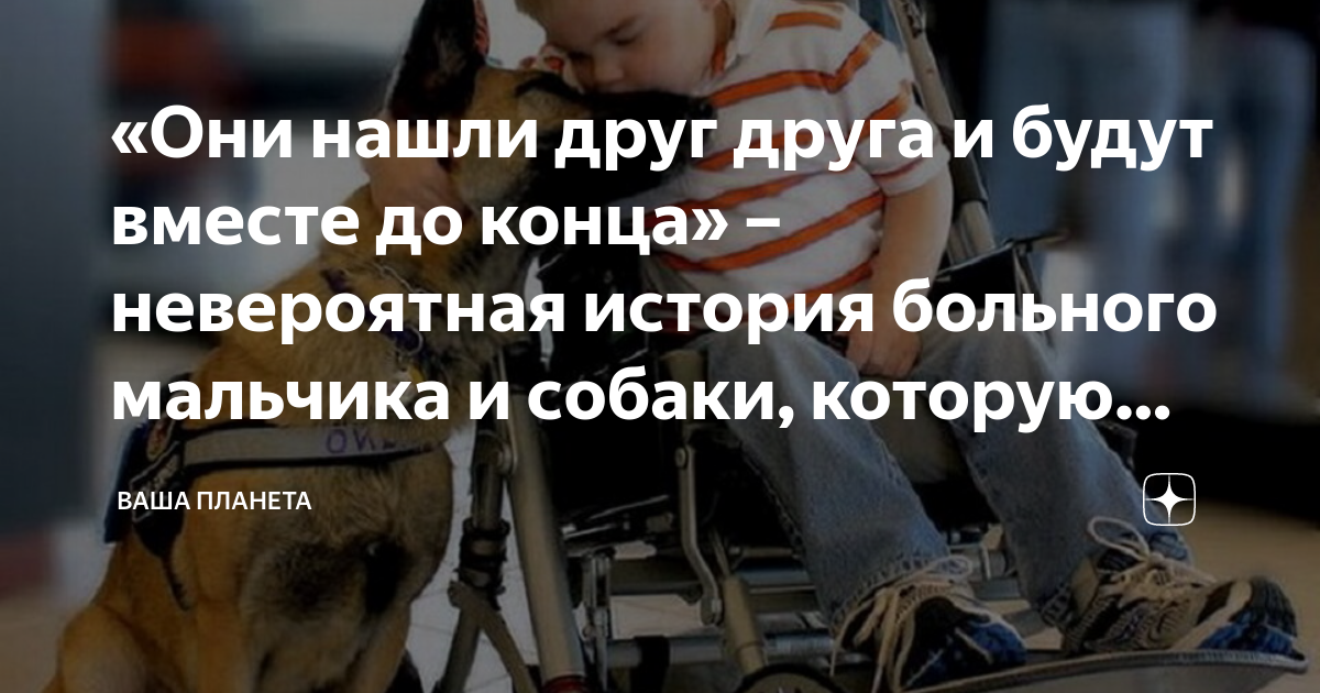 «Они нашли друг друга и будут вместе до конца» – невероятная история ...