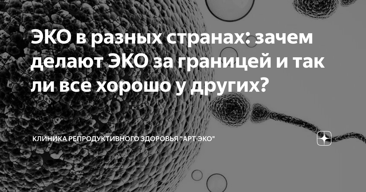 ЭКО в разных странах: зачем делают ЭКО за границей и так ли все хорошо ...