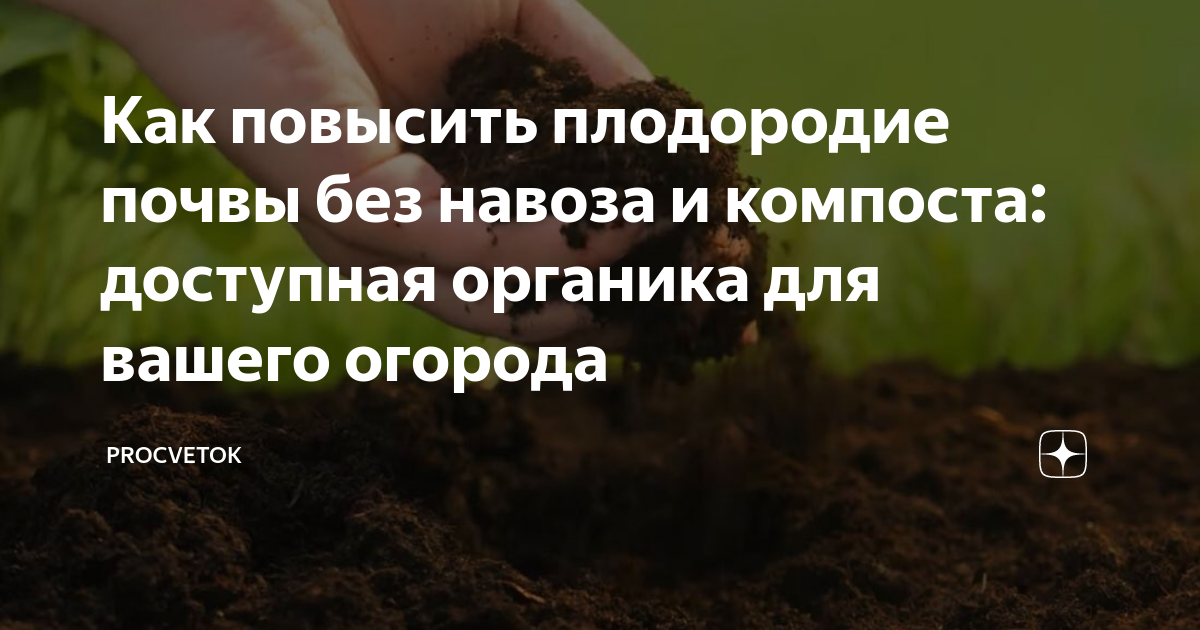 Как повысить плодородие почвы без навоза и компоста: доступная органика ...
