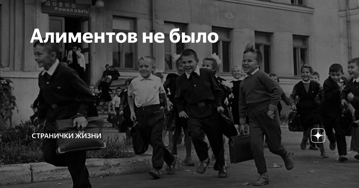 Алиментов не было | Странички жизни | Дзен