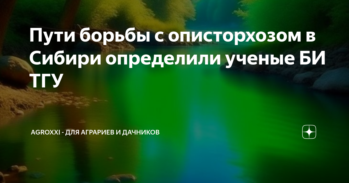 Пути борьбы с описторхозом в Сибири определили ученые БИ ТГУ | АgroXXI ...