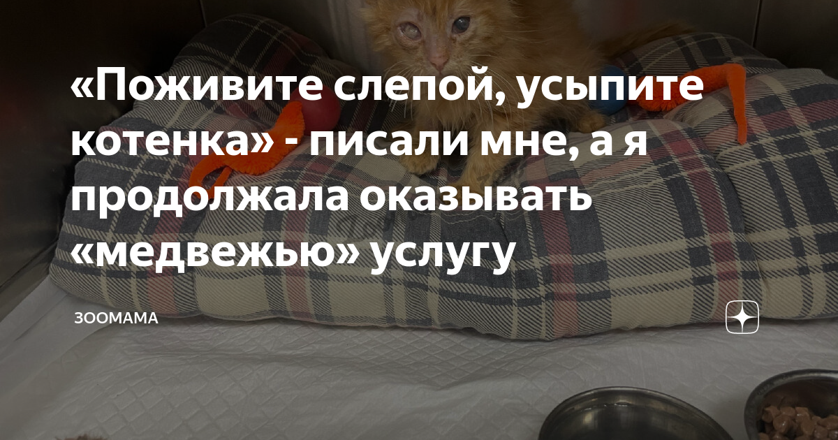 Под столом у нас не мяукали а жалобно пищали три слепых котенка части речи указать