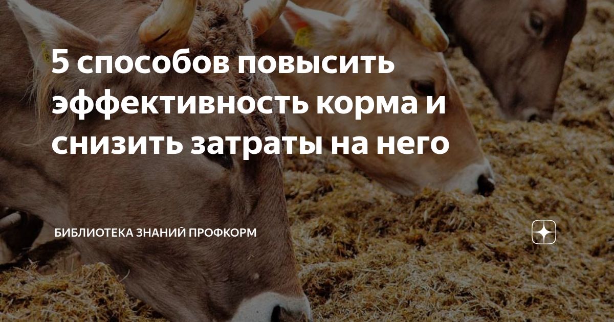 Определение периодов перекусов