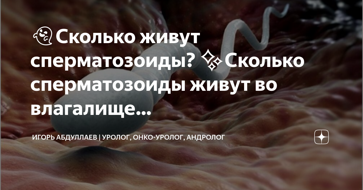 Оплодотворение яйцеклетки — что это, как происходит, через сколько наступает беременность