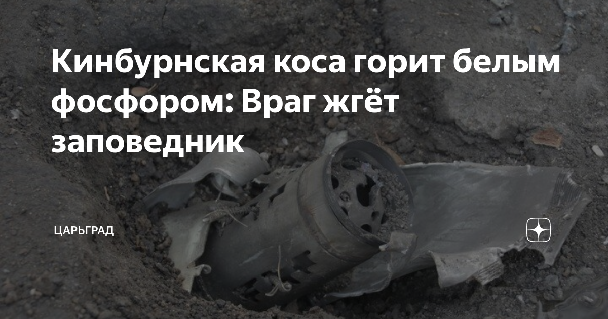 Кинбурнская коса горит белым фосфором: Враг жгёт заповедник | Царьград ...