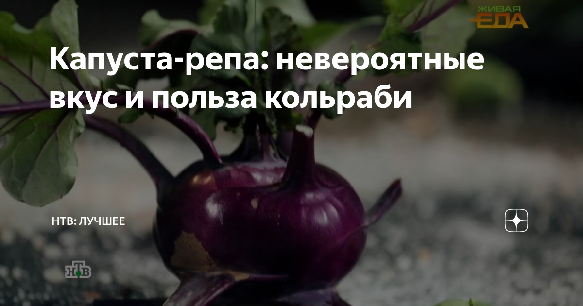 Репа это капуста Репа это капуста
