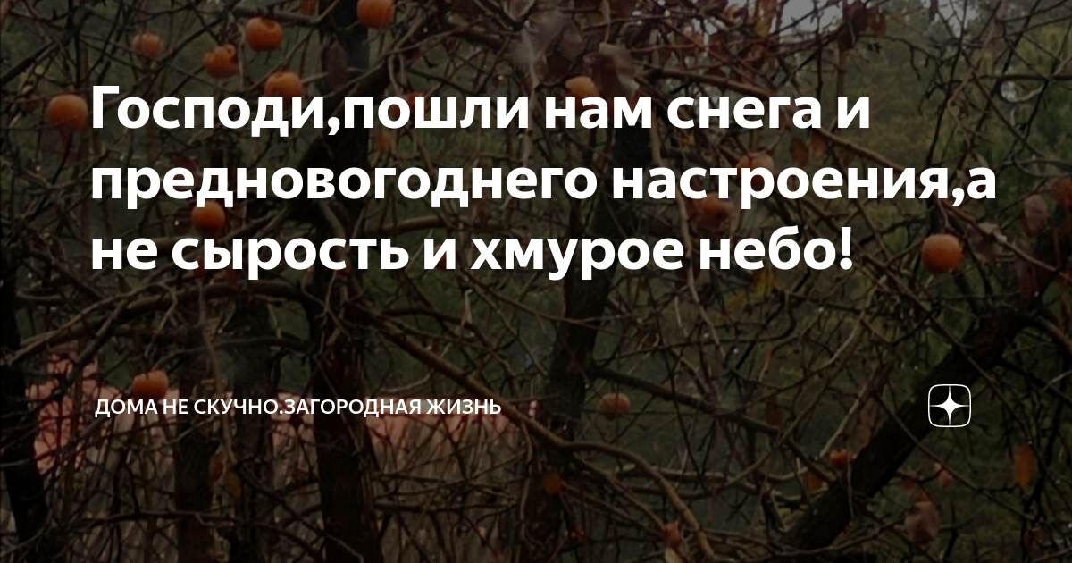 Главная причина, почему я уехала из Великобритании. Климат и сырость в доме