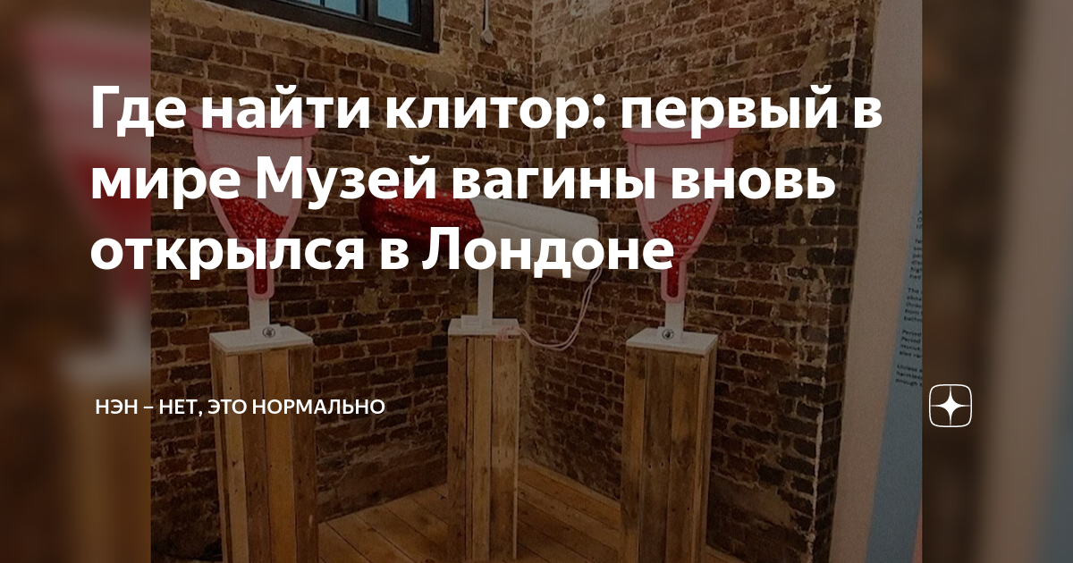 Где найти клитор: первый в мире Музей вагины вновь открылся в Лондоне ...