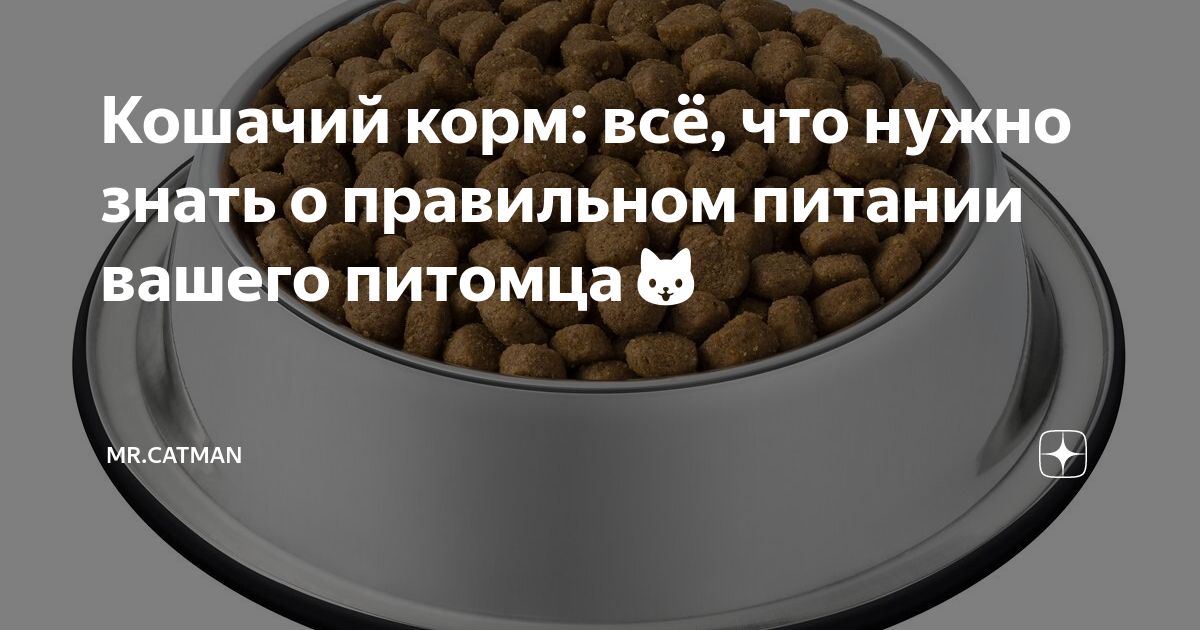 Кошачий корм: всё, что нужно знать о правильном питании вашего питомца🐱 ...