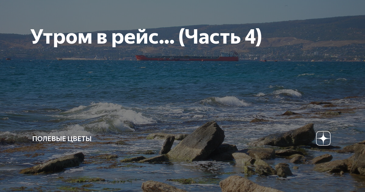Утром в рейс… (Часть 4) | Полевые цветы | Дзен