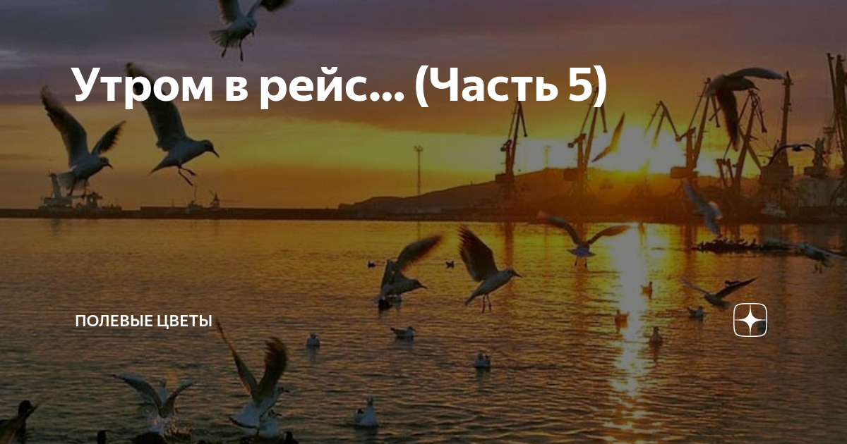 Утром в рейс… (Часть 5) | Полевые цветы | Дзен