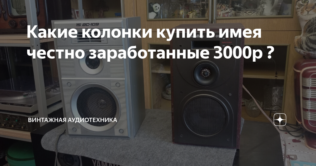 Какие колонки купить имея честно заработанные 3000р ? | Винтажная ...