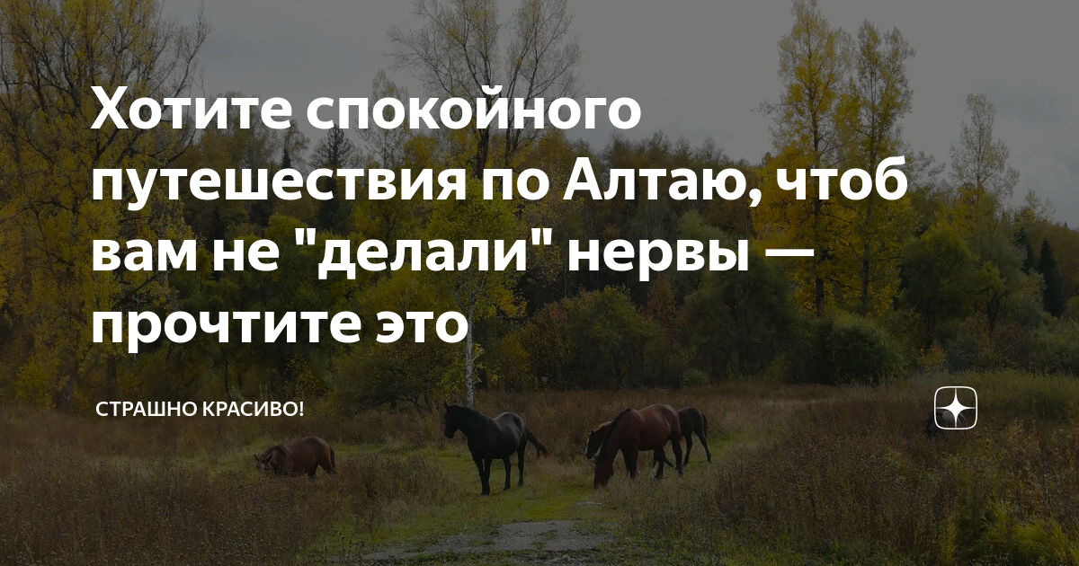 Хотите спокойного путешествия по Алтаю, чтоб вам не "делали" нервы ...