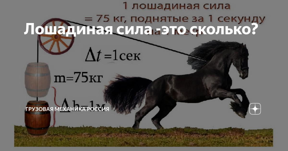 Монжаро лошадиные силы. Монжаро лошадиные силы