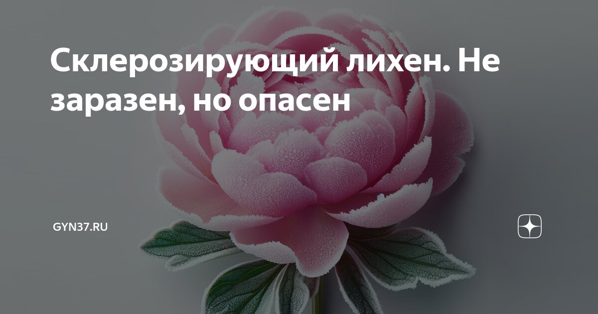 Склерозирующий лихен. Не заразен, но опасен | GYN37 | Дзен