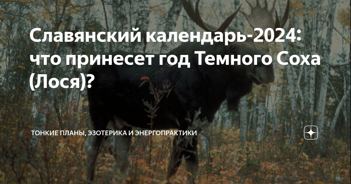 Год лося по славянскому календарю