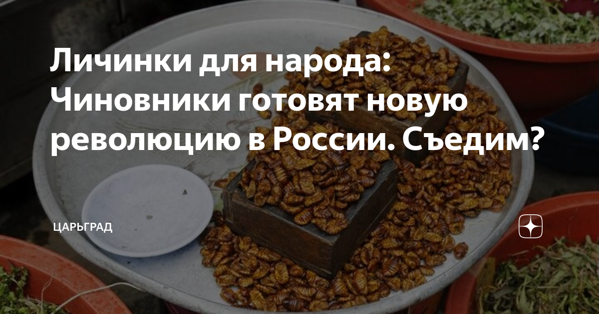 Личинки для народа: Чиновники готовят новую революцию в России. Съедим?
