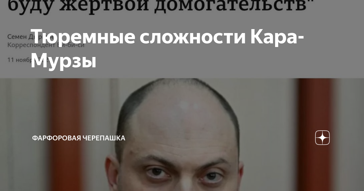 Тюремные сложности Кара-Мурзы | Фарфоровая черепашка | Дзен