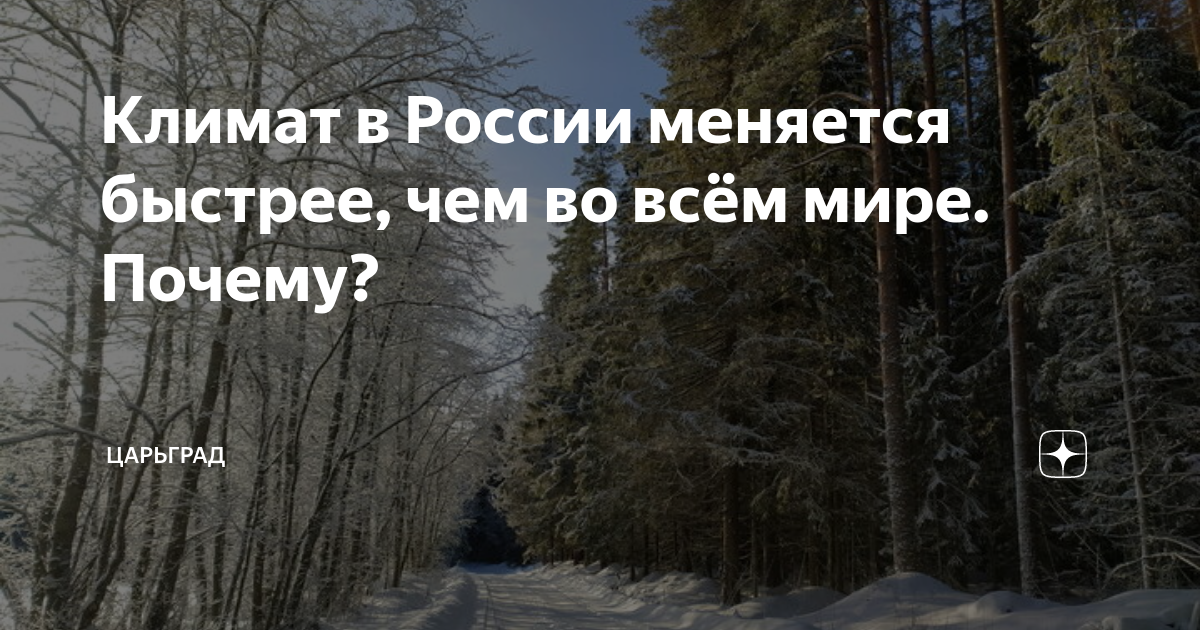 Климат в России меняется быстрее, чем во всём мире. Почему? | Царьград ...