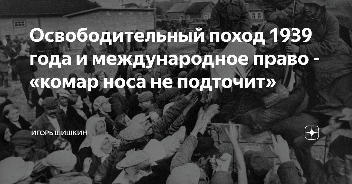 Освободительный поход 1939 года и международное право - «комар носа не ...