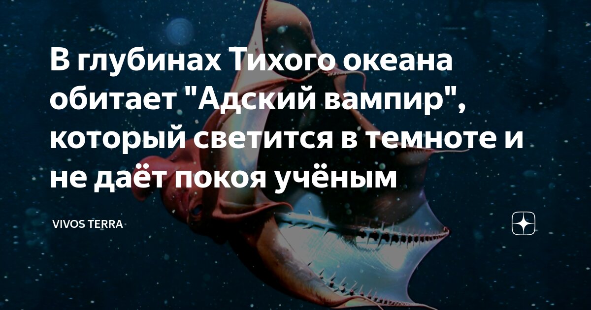 В глубинах Тихого океана обитает "Адский вампир", который светится в ...