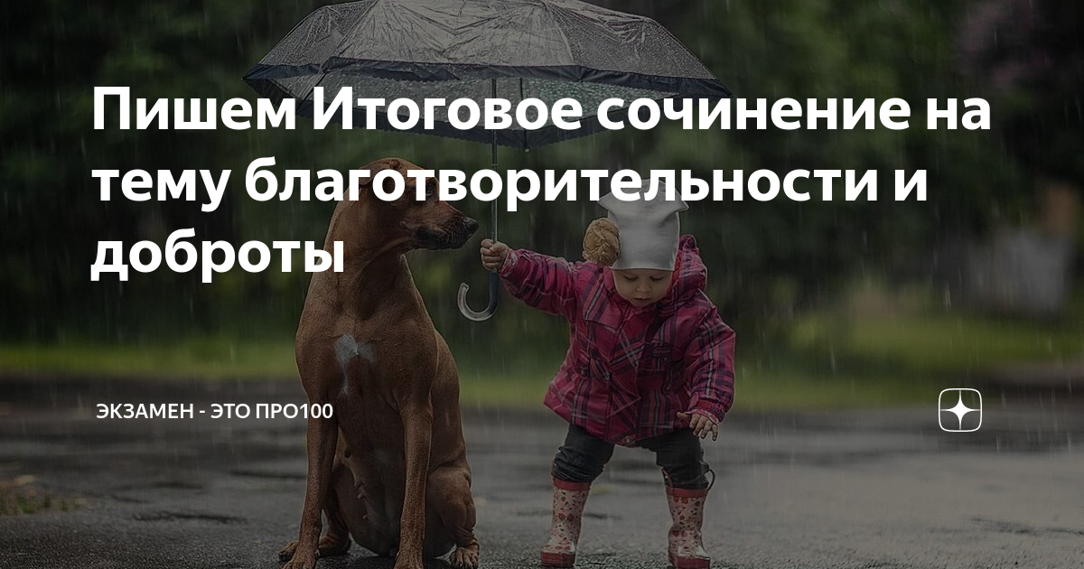 Пишем Итоговое сочинение на тему благотворительности и доброты ...