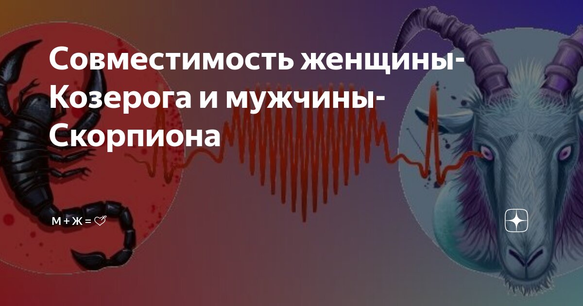 Совместимость женщины-Козерога и мужчины-Скорпиона | М + Ж = 💘 |Дзен