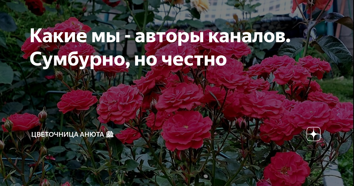 Сумбурный день. Сумбурный день. Сумбурный день. Сумбурный день. Сумбурный день.