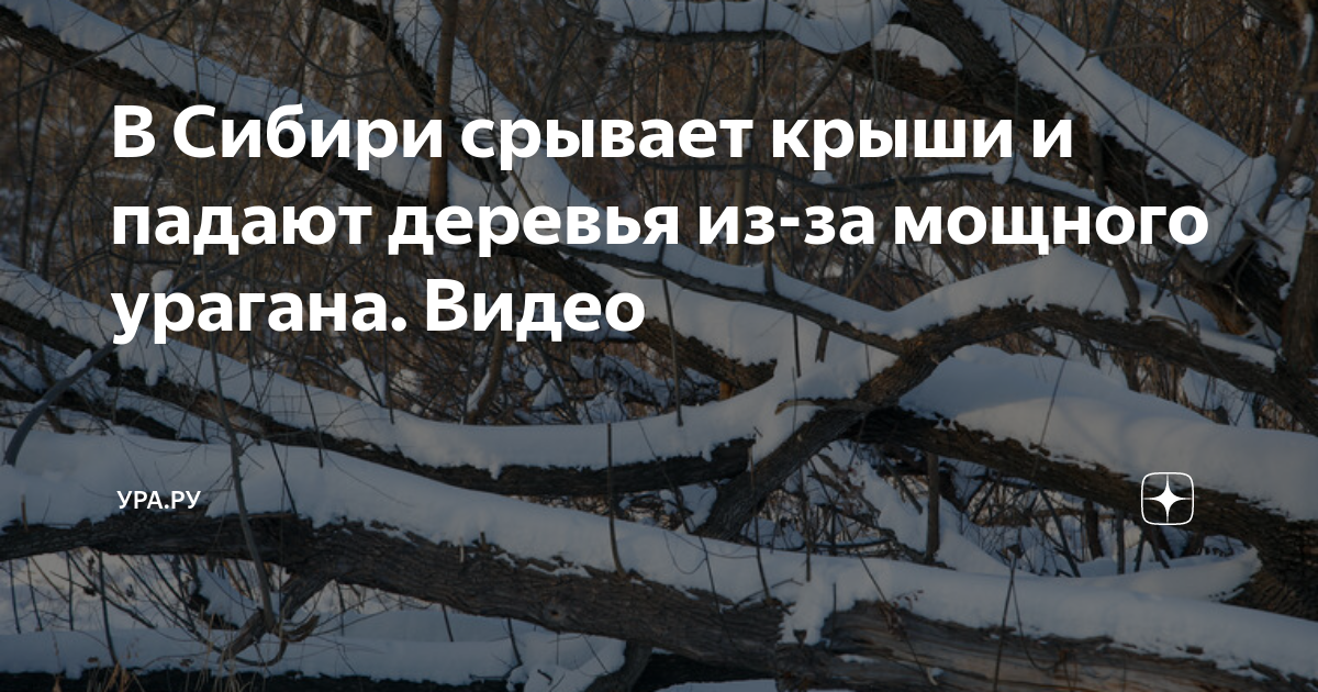 В Сибири срывает крыши и падают деревья из-за мощного урагана. Видео ...