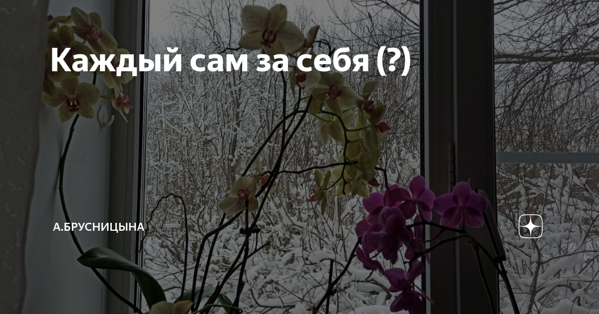 Каждый сам за себя (?) | А.Брусницына. | Дзен
