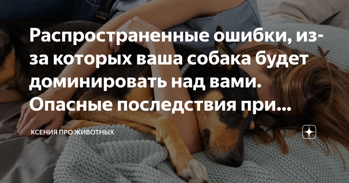 1. Устанавливайте четкие правила и границы