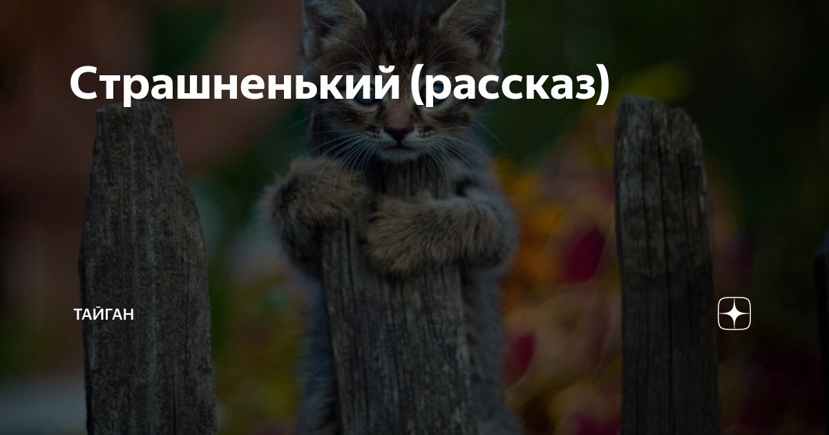 Страшненький (рассказ) | Тайган | Дзен