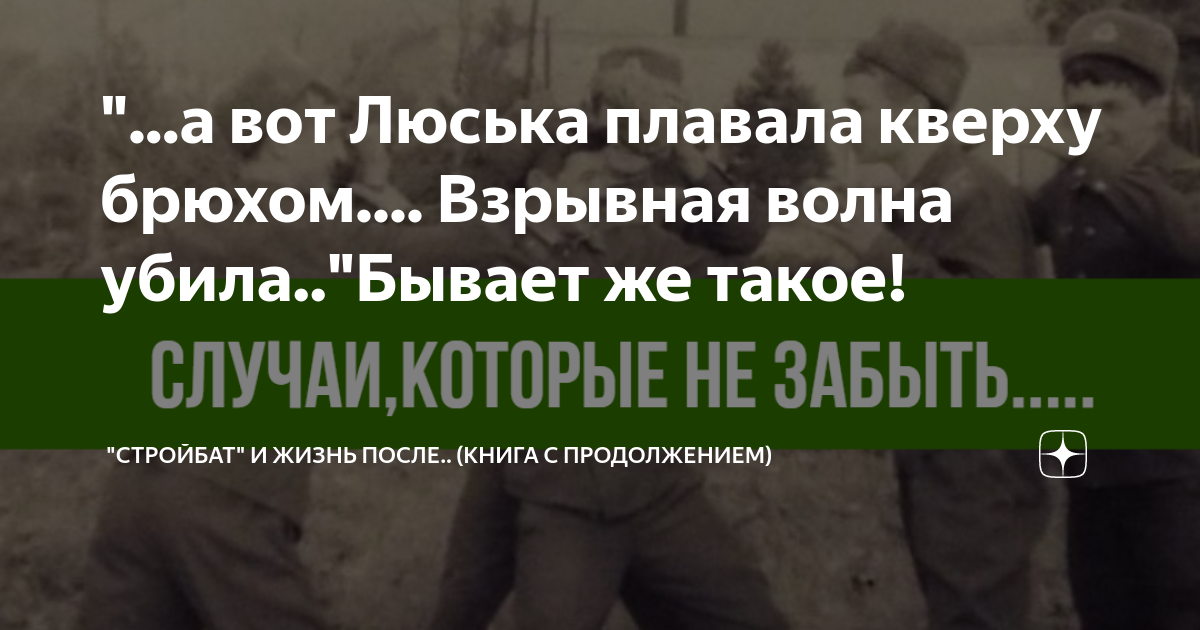 а вот Люська плавала кверху брюхом.... Взрывная волна убила.."Бывает же ...