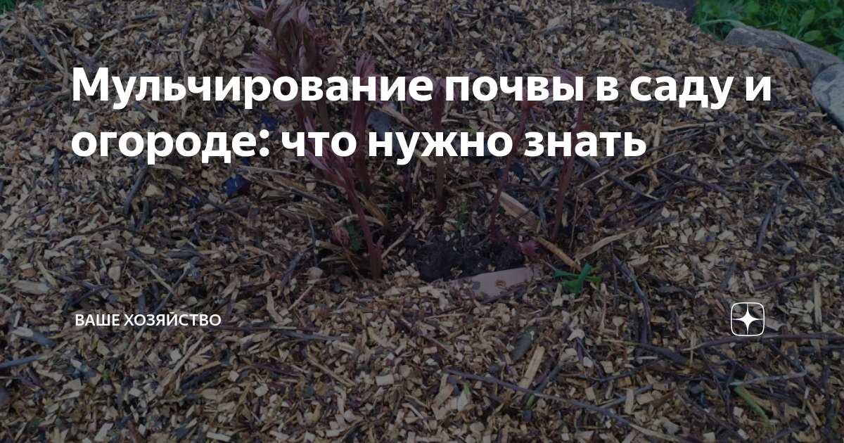 песня в огороде и в саду