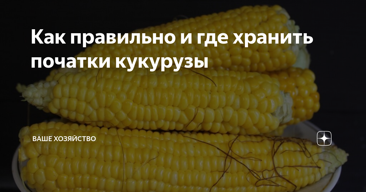 Когда нужно собирать урожай кукурузы и как ее хранить? Советы опытной дачницы