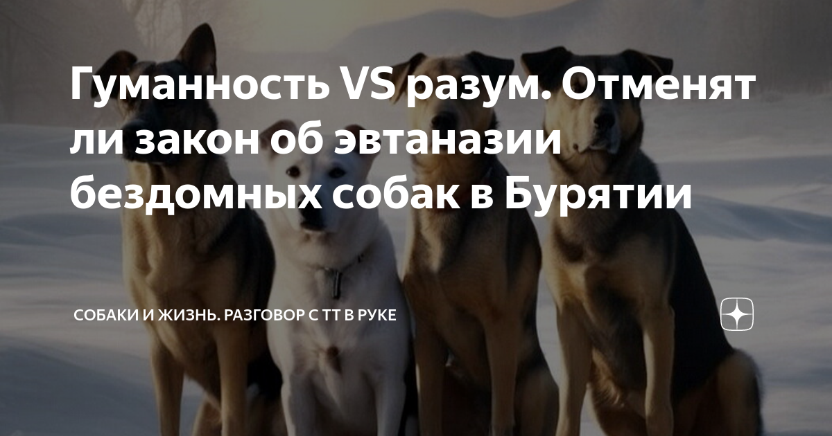 Закон об усыплении животных 2025