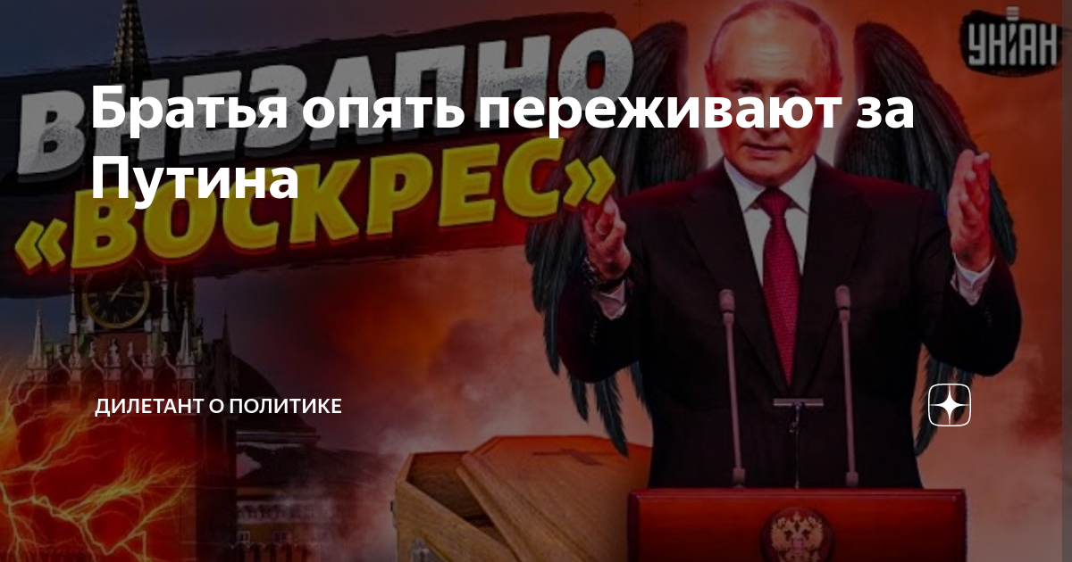 Братья опять переживают за Путина | Дилетант о политике | Дзен