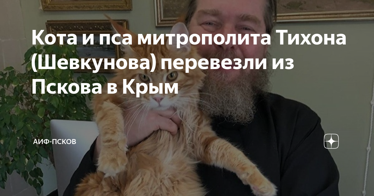песня болонки и пса