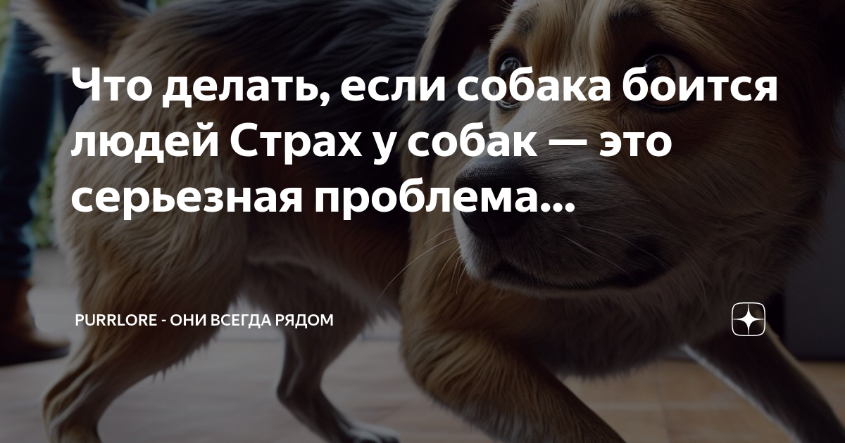 Обратитесь к ветеринару