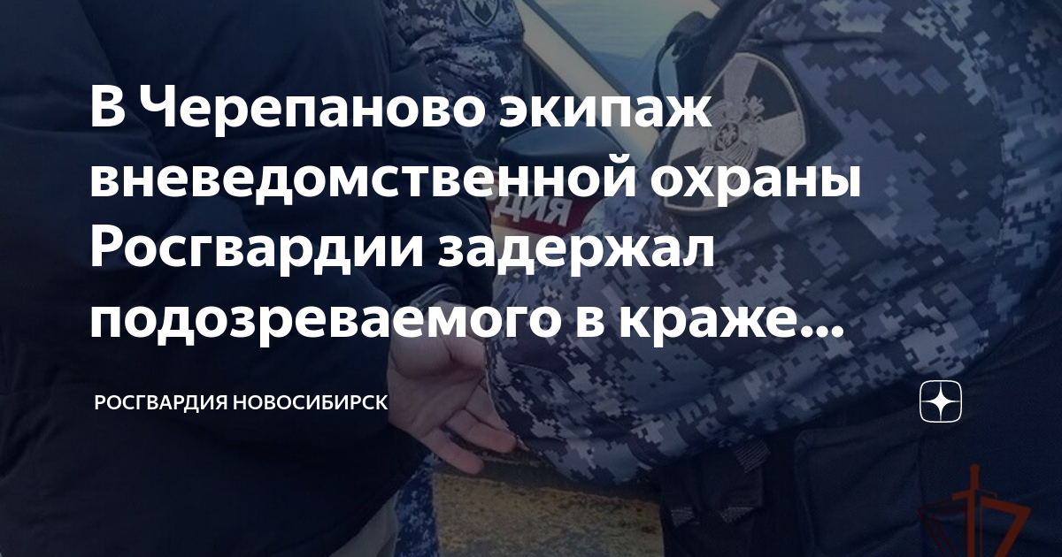 В Черепаново экипаж вневедомственной охраны Росгвардии задержал ...