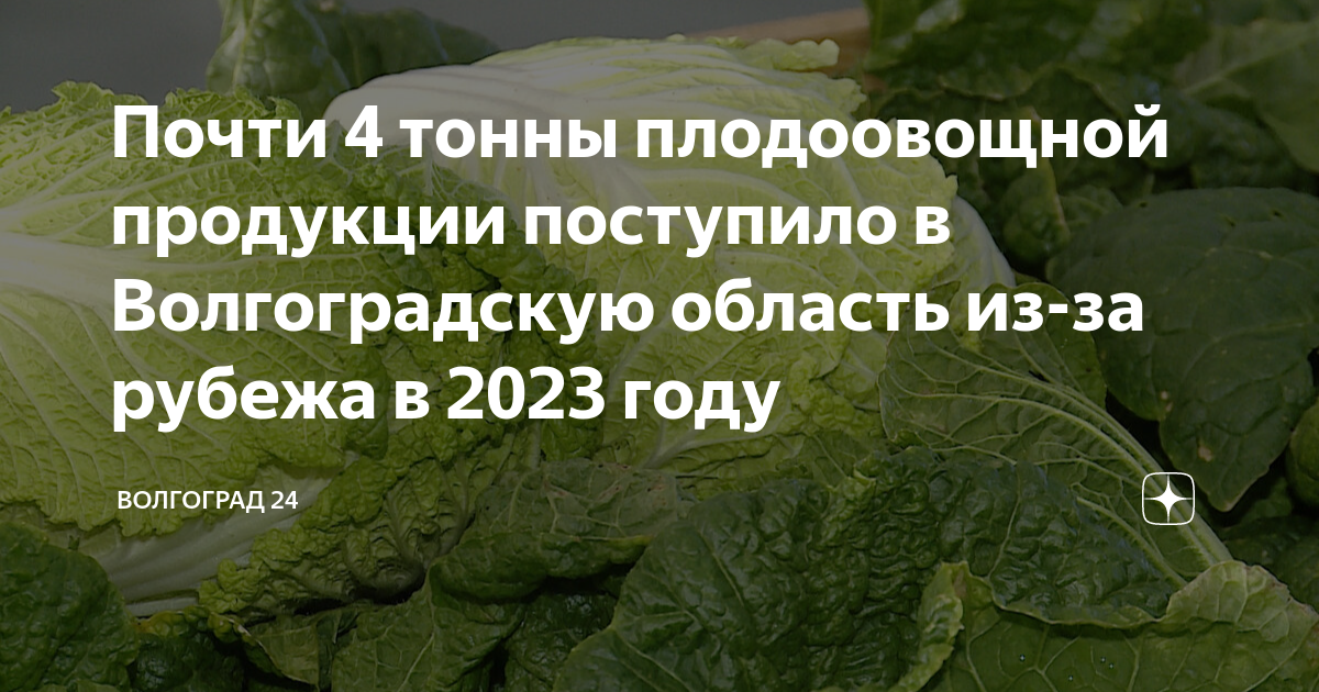 Почти 4 тонны плодоовощной продукции поступило в Волгоградскую область ...