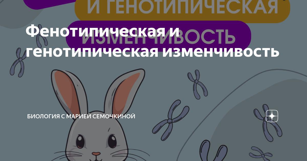 Фенотипическая и генотипическая изменчивость | Биология с Марией ...