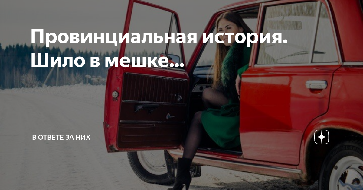 Провинциальная история. Шило в мешке... | В ответе за них | Дзен