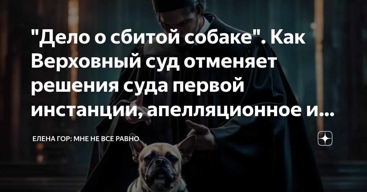 "Дело о сбитой собаке". Как Верховный суд отменяет решения суда первой ...
