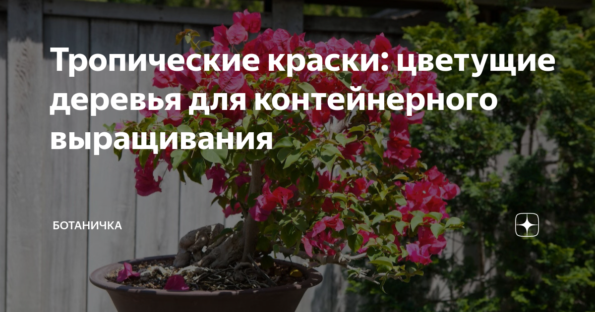 2. Подготовка почвы